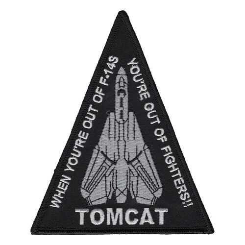 F-14 Tomcat airframe patch with swept wings