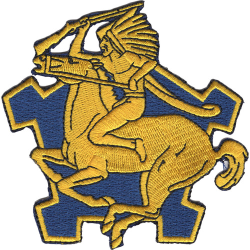 9th Cavalry Regiment Patch