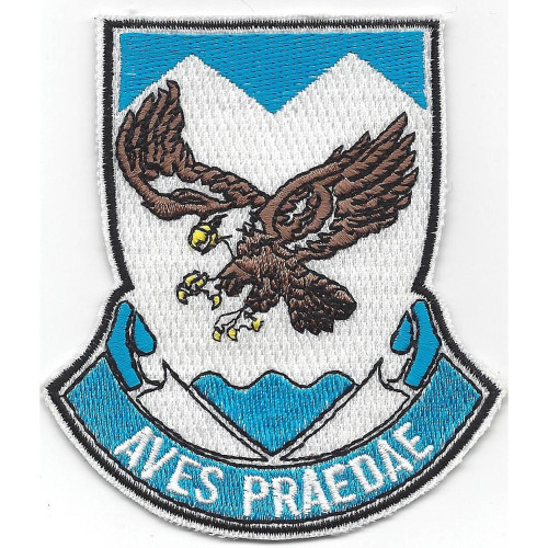 882nd Airborne Engineer Battalion Patch