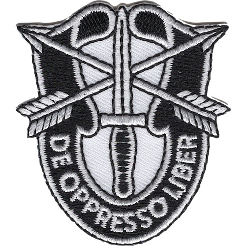 Special Forces Group Crest Patch