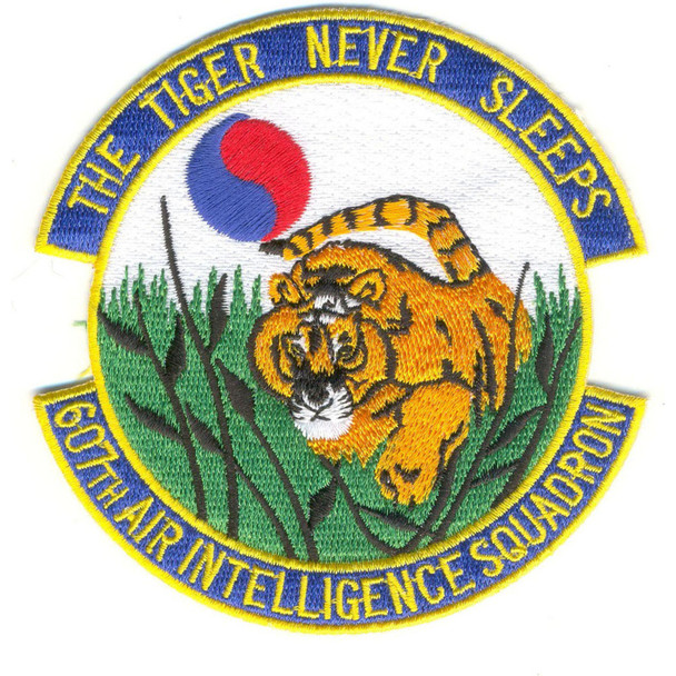 607th Air Intelligence Squadron Patch