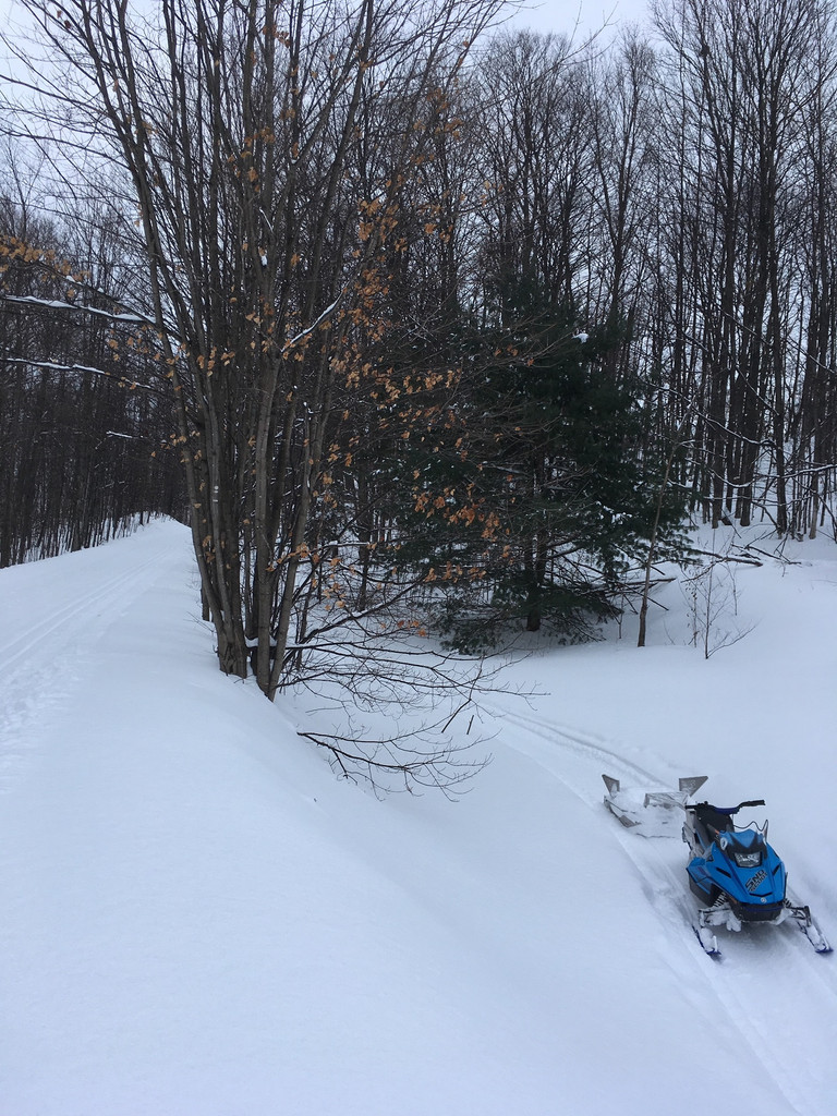 Grooming fat bike trails with a snowmobile