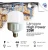 Lámpara Galponera LED Alto Poder 20w Tipo T - High Power Werke - Pack x4