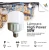 Lamparas LED Alto Poder Galponera 50w High Power Tipo T Blanco Werke - Pack x4