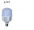 Lámpara High Power E27 20w 6400k 12v Werke