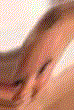 fave3.gif fave3.gif