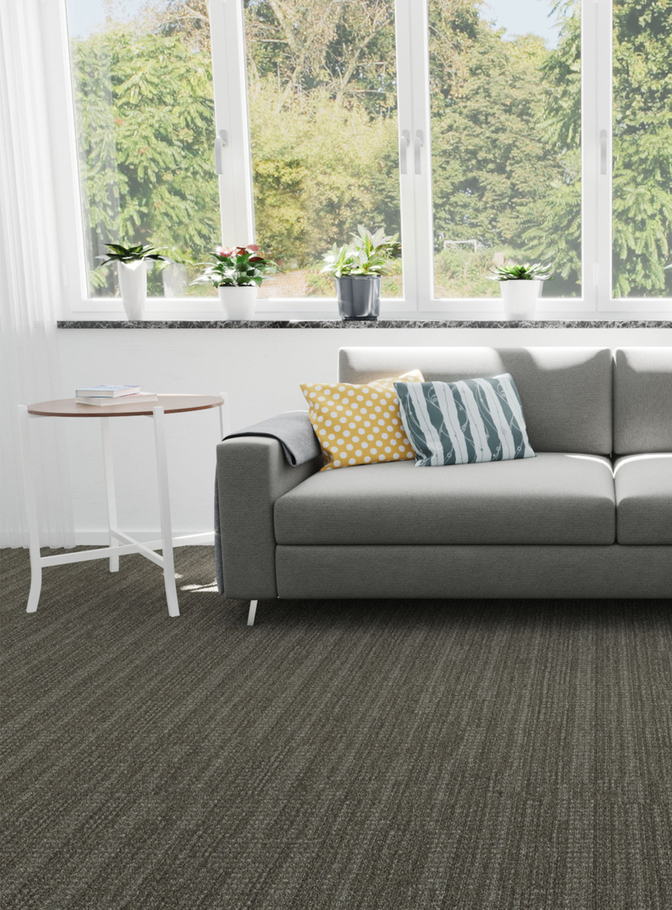 レディオ RAWカラー Dublin | DreamWeaver Carpet Flooring | Engineered Floors