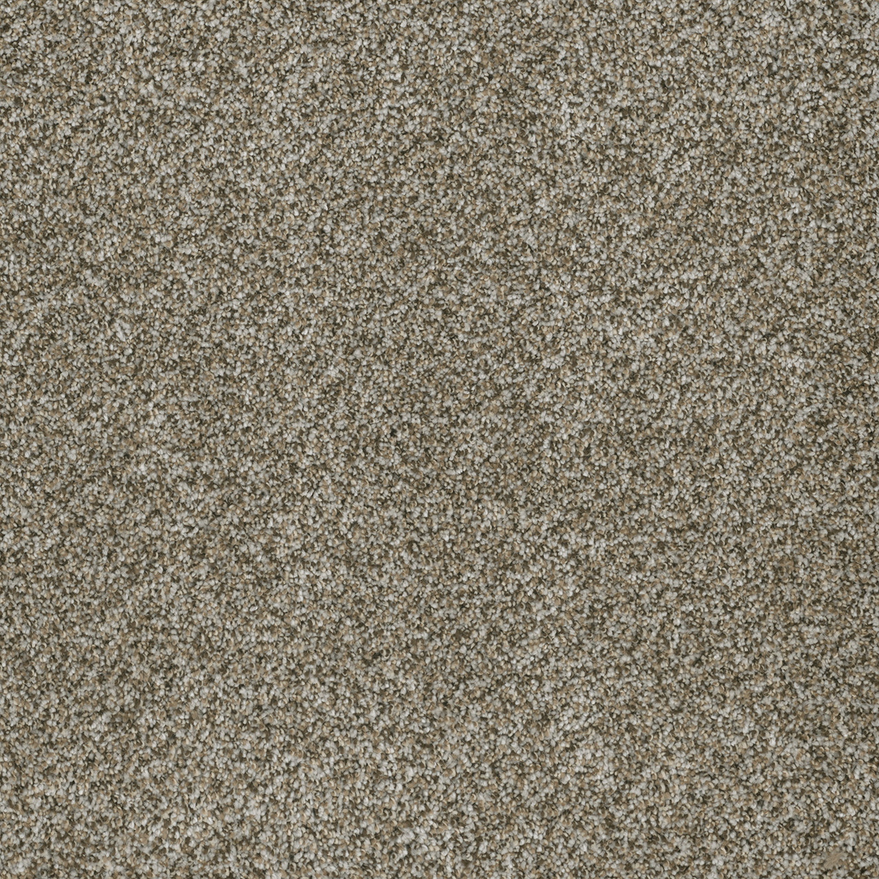 Brazen Ii | DreamWeaver Carpet Flooring | Engineered Floors