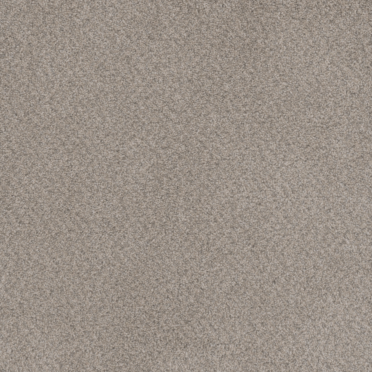 西海岸2 Beach Club Ii | DreamWeaver Carpet Flooring | Engineered Floors