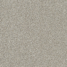 Lucky Penny II - Stain & UV Resistant Carpet - DreamWeaver