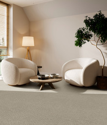 Hashtag ペディン　ベージュ Carpet | DREAM WEAVER CEDAR CREEK CAMEL | Flooring Liquidators