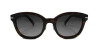 C2 Tortoise w/ Brown Gradient Polarized Lenses