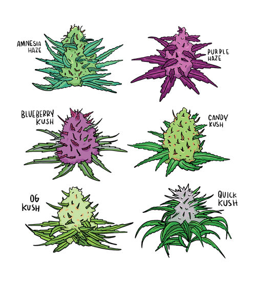 Strains