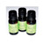 Rose Essence Oil 2 Dram