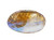 6 Shell incense Burner