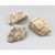 1 lb Aragonite, Brown untumbled stones