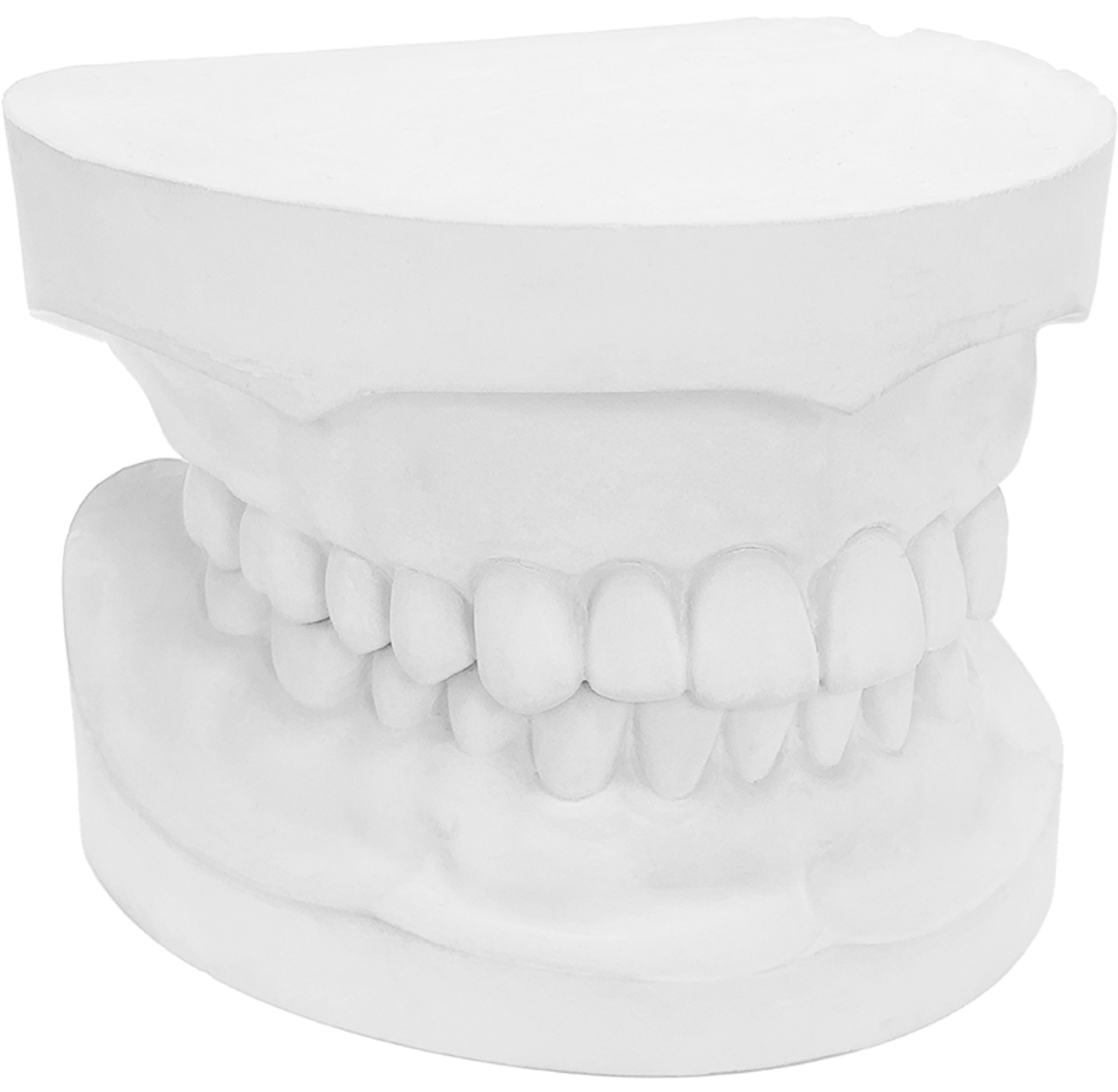 Ortho Plaster