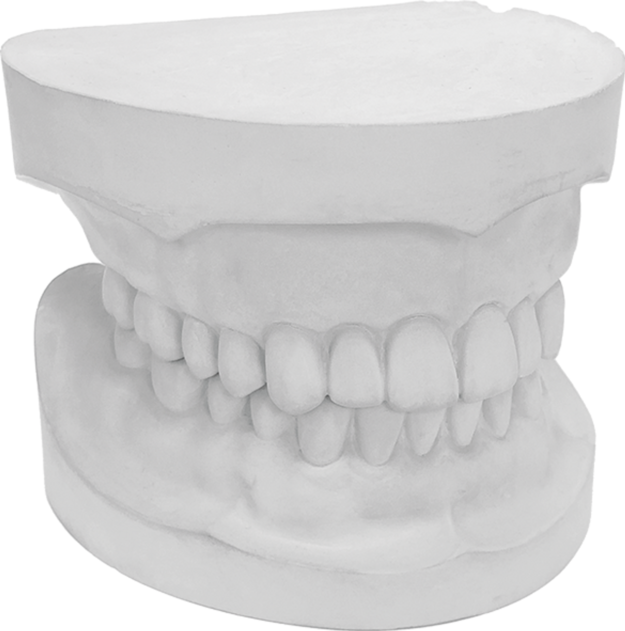 OrthoStone orthodontic stone OrthoStone orthodontic stone