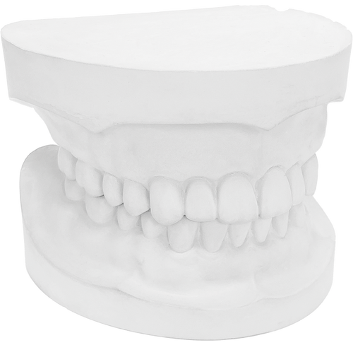 Ortho Plaster white