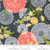 Dandi Duo Graphite