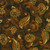 Golden Feathers Redwood