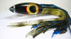 Golden-Eye YellowFin