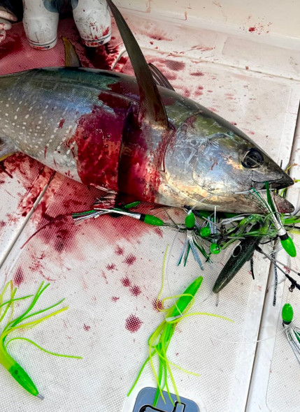 TUNA Carousel Lure