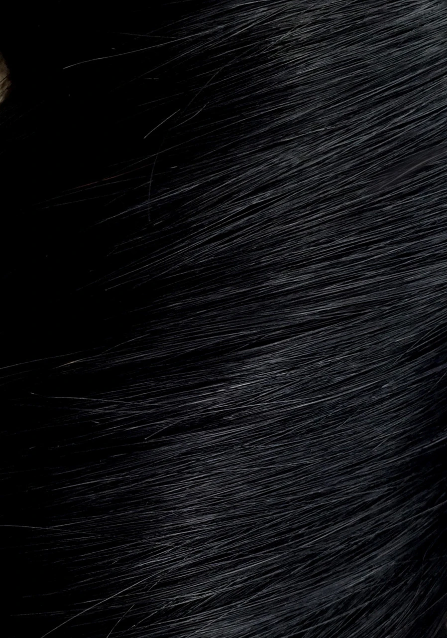 Copy IKSHU of Jet Black - Seamless Clip In Remy Human Hair Extensions | Foxy Locks