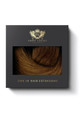 Chestnut LiteTape® Hair Extensions | Tape In