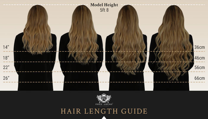 Length Guide