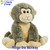 Ringo the Monkey Ringo the Monkey