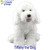 Tiffany the Dog Tiffany the Dog