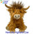 Hank the Highland Cow