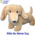 Willie the Weiner Dog