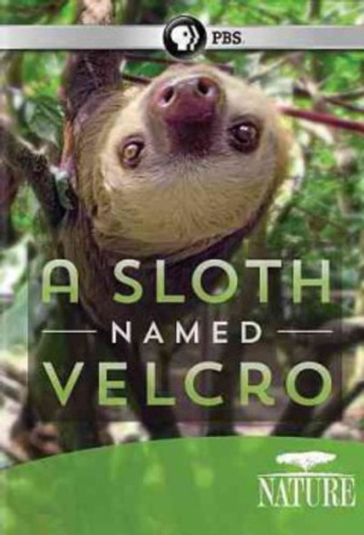 Nature: A Sloth Named Velcro DVD