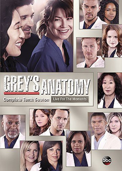 Grey'S Anatomy: The Complete Tenth Season DVD