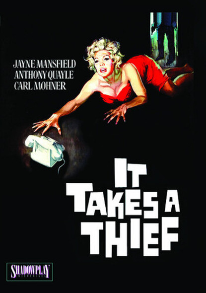 It Takes A Thief DVD