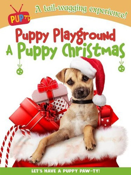 Puppy Playground: A Puppy Christmas DVD