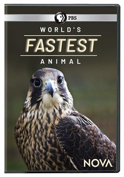 Nova: World'S Fastest Animal DVD