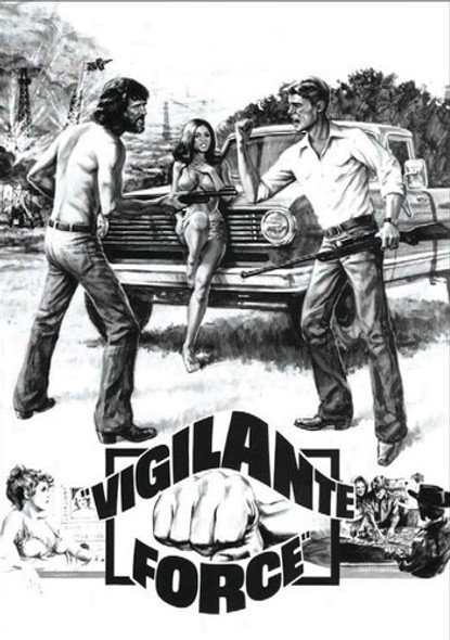 Vigilante Force DVD