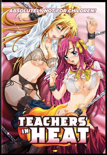 Teachers In Heat DVD