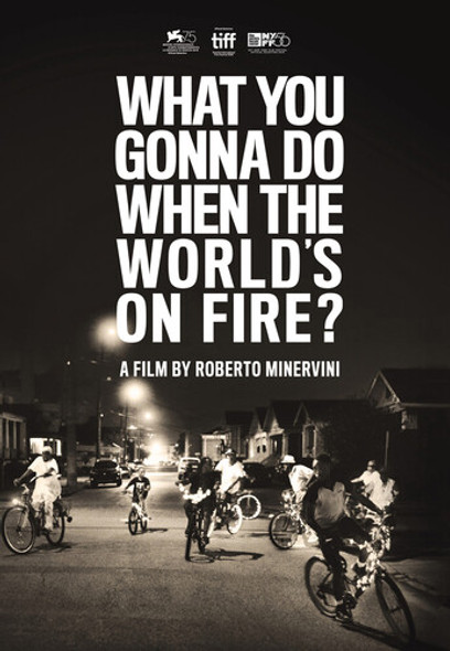 What You Gonna Do When The World'S On Fire DVD