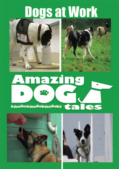 Amazing Dog Tales - Dogs At Work DVD