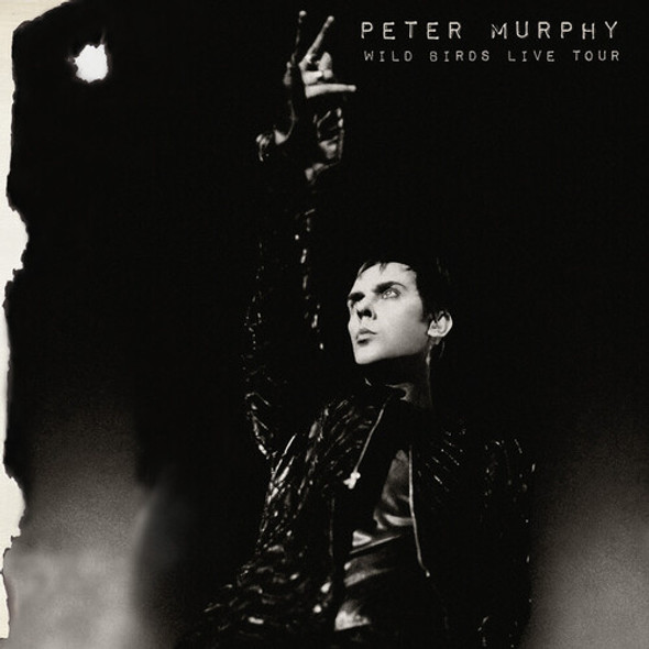 Murphy,Peter Wild Birds Live Tour CD