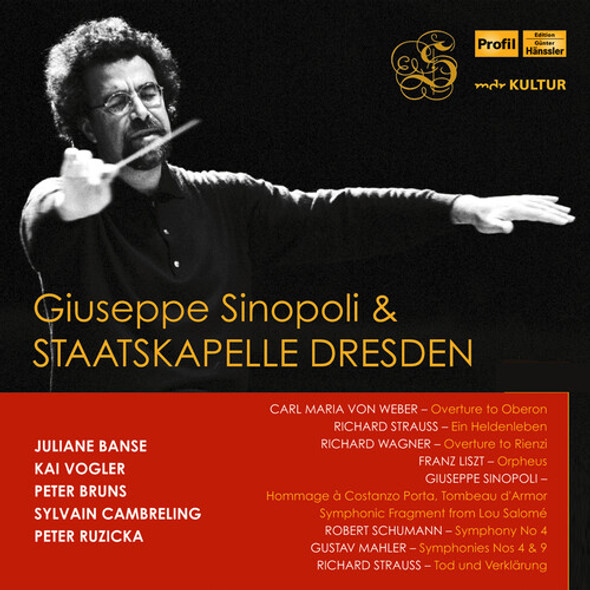 Giuseppe Sinopoli / Various Giuseppe Sinopoli / Various CD