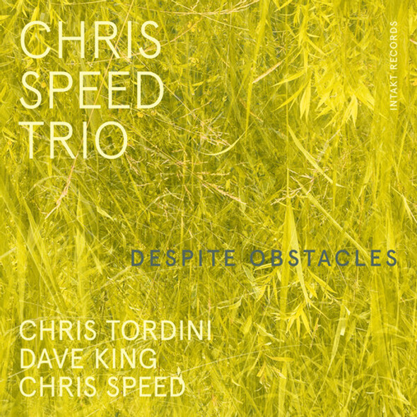 Speed,Chris Despite Obstacles CD