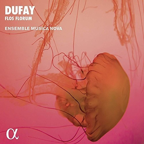 Dufay / Ensemble Musica Nova Flos Florum CD