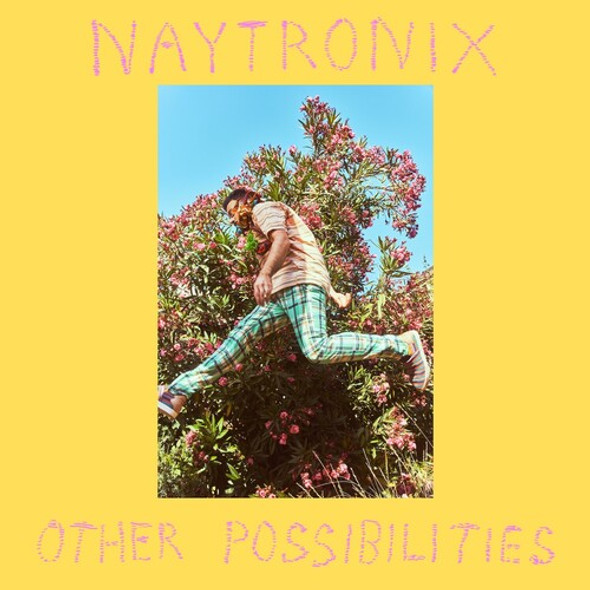 Naytronix Other Possibilities Cassette