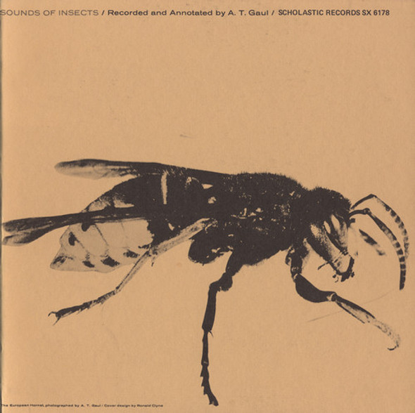 Sounds Of Insects / Various Sounds Of Insects / Various CD