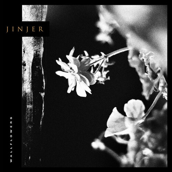 Jinjer Wallflowers CD